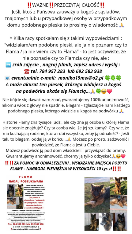 Poszukiwana Flama.png